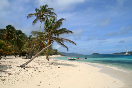 Tobago Beach